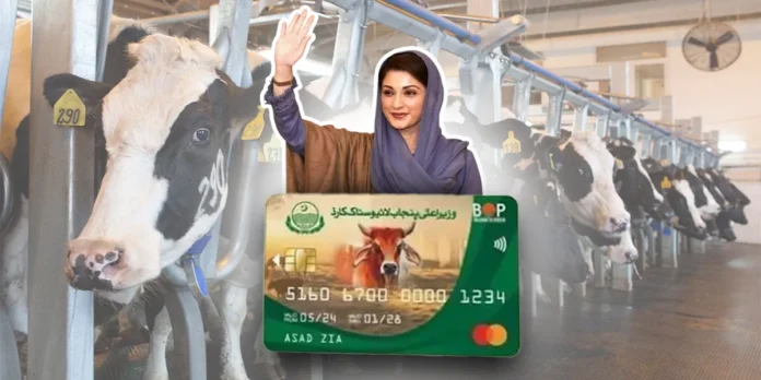 Punjab Chief Minister Livestock Card